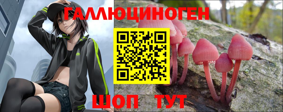 Галлюциногенные грибы прущие грибы Ртищево